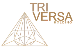 Tri Versa Holding logo